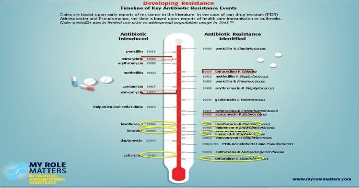 Nigeria: WHO To Unveil Country Cooperation Strategy 2023-2027